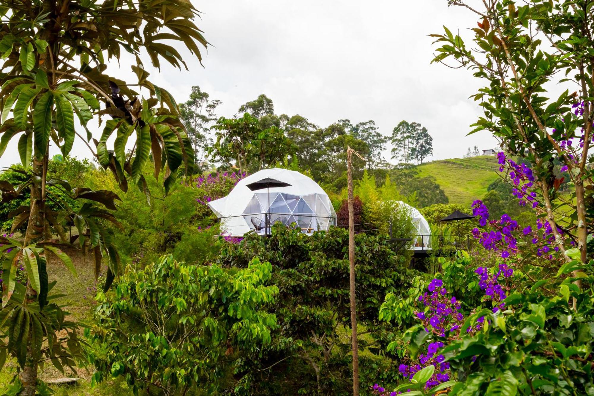 Ecohotel Monte Tierra Habitaciones Y Glamping Filandia Cameră foto